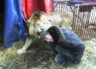 high performance rigging productions circus